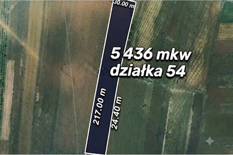 🎯 CEL: Twoja Inwestycja w Cholerzynie!