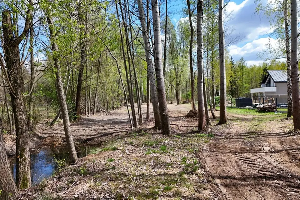 Na sprzedaż działka 3174m2 ze stawem, położona w Budach Michałowskich, gmina Jaktorów. – Budy Michałowskie