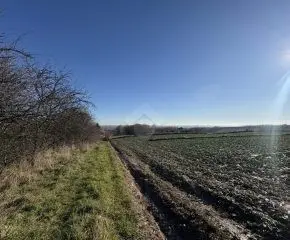 Wilczkowice (gmina Michałowice) – ul. Bukowe Wzgórze