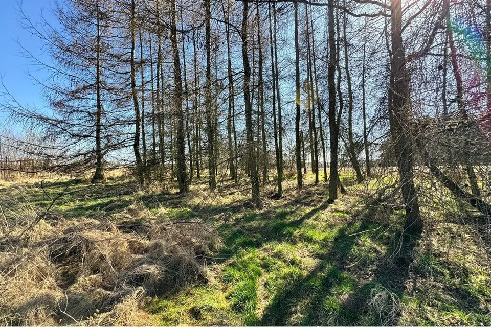 Dzialka Budowlana – Łuków Śląski