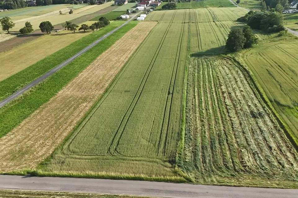 Dzialka – Żelisławice