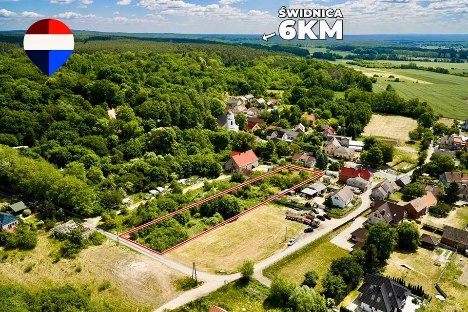 Dzialka – Letnica