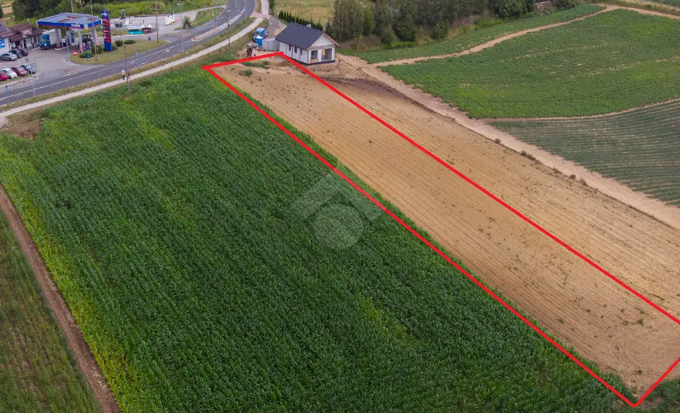 Koniusza - Biórków Mały – Proszowice